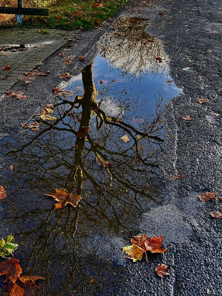 Herbst 2026