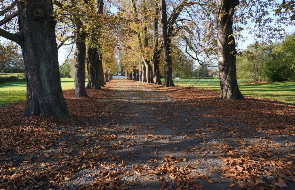 Herbst 6