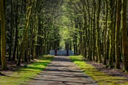 Ausflug in den Lütetsburger Park