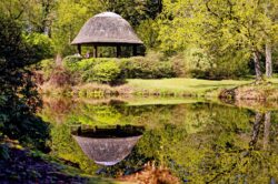 Ausflug in den Lütetsburger Park