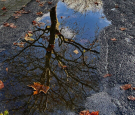 Herbst 2026