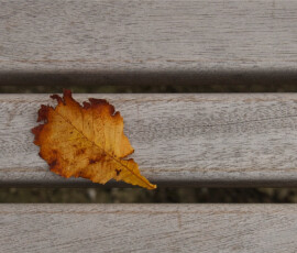 Herbst 2026