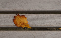 Herbst 2026
