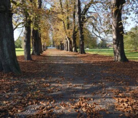 Herbst 6