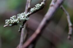 Herbst 3