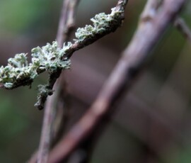Herbst 3