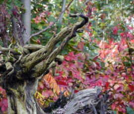 Herbst 2