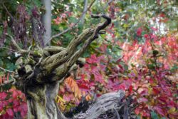 Herbst 2