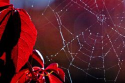 Herbst 1