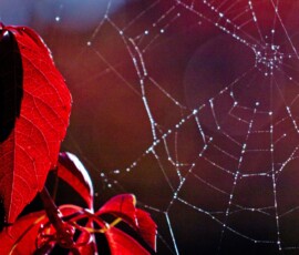 Herbst 1