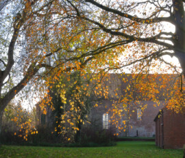 Herbst 9