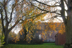 Herbst 9